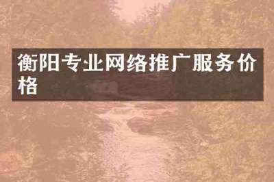 衡阳专业网络推广服务价格
