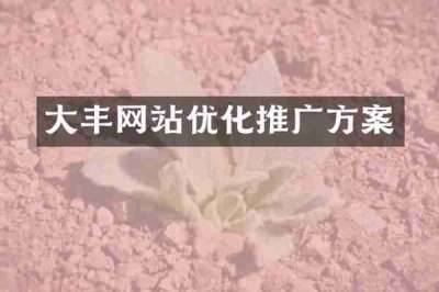 大丰网站优化推广方案