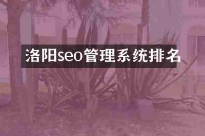 洛阳seo管理系统排名