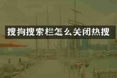 搜狗搜索栏怎么关闭热搜