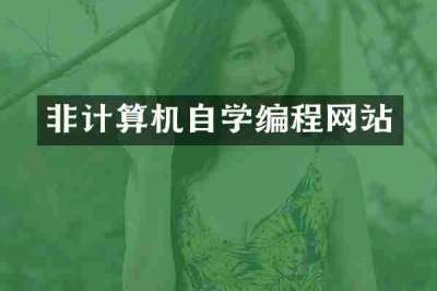 非计算机自学编程网站