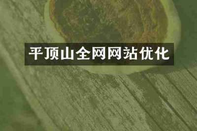 平顶山全网网站优化