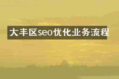 大丰区seo优化业务流程