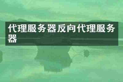 代理服务器反向代理服务器