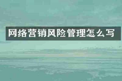 网络营销风险管理怎么写