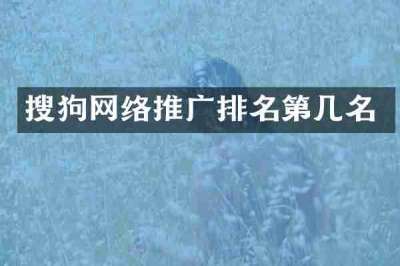 搜狗网络推广排名第几名