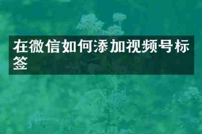 在微信如何添加视频号标签