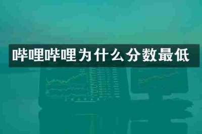 哔哩哔哩为什么分数最低