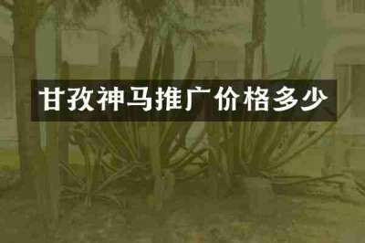 甘孜神马推广价格多少