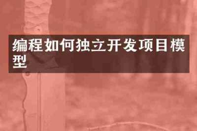 编程如何独立开发项目模型