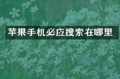 苹果手机必应搜索在哪里