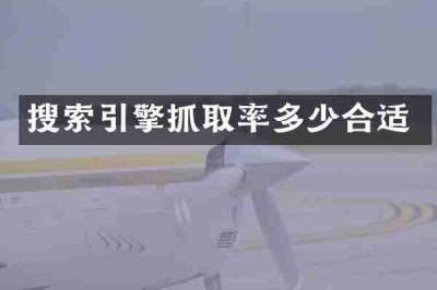 搜索引擎抓取率多少合适