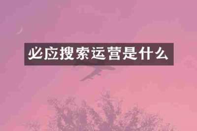 必应搜索运营是什么