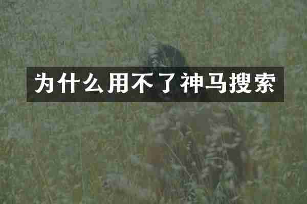 为什么用不了神马搜索