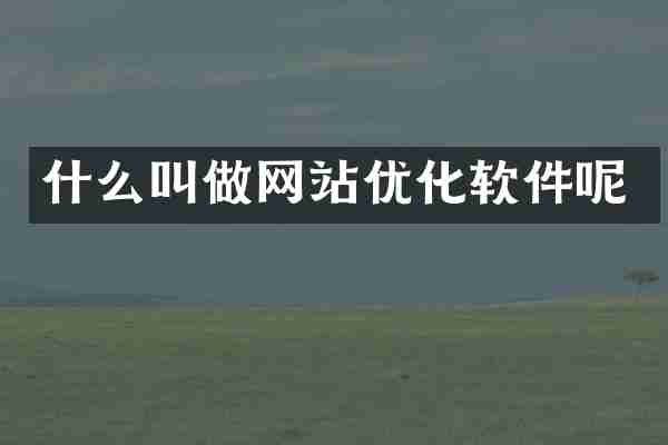 什么叫做网站优化软件呢