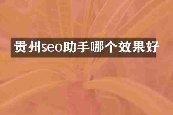 贵州seo助手哪个效果好