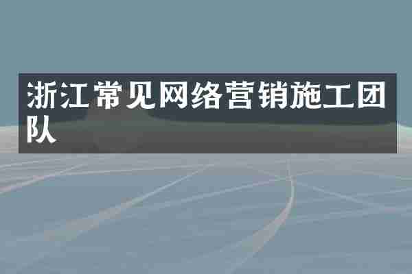 浙江常见网络营销施工团队