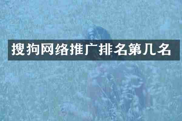 搜狗网络推广排名第几名
