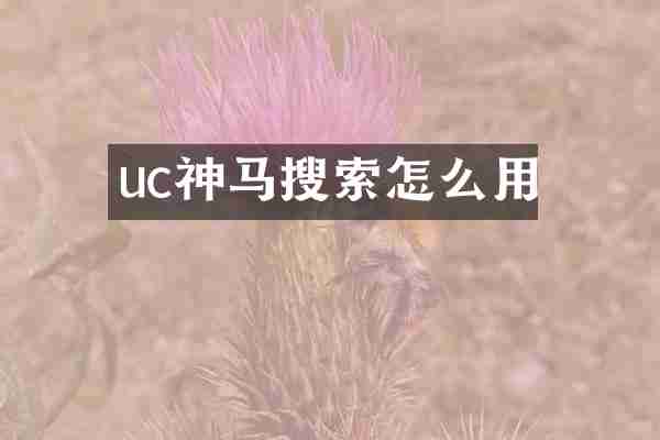 uc神马搜索怎么用