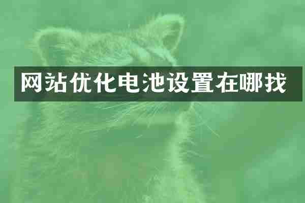 网站优化电池设置在哪找