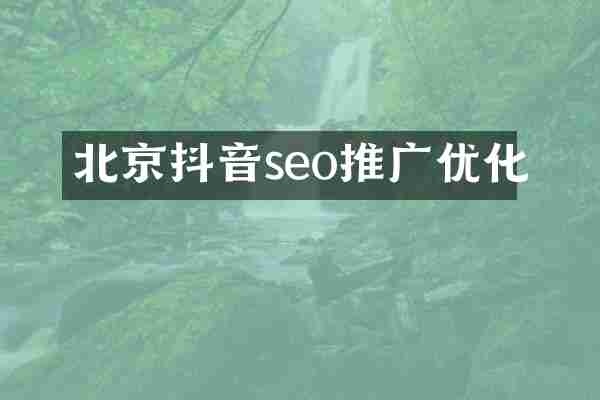 北京抖音seo推广优化