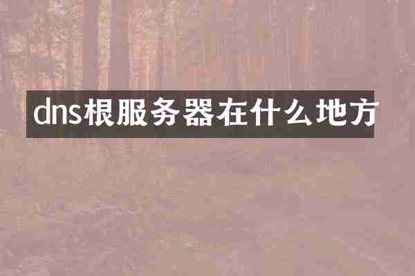 dns根服务器在什么地方