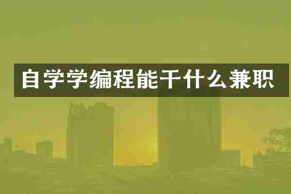 自学学编程能干什么兼职