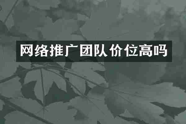网络推广团队价位高吗