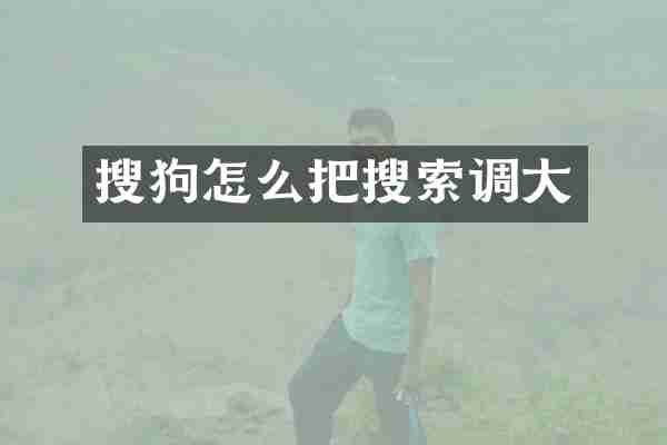 搜狗怎么把搜索调大