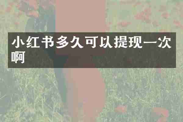 小红书多久可以提现一次啊