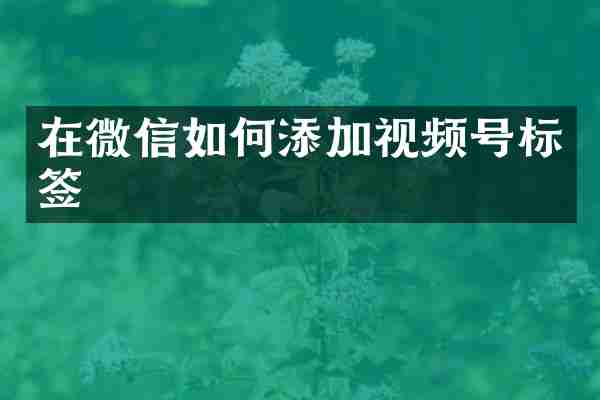 在微信如何添加视频号标签