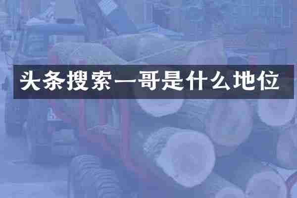 头条搜索一哥是什么地位