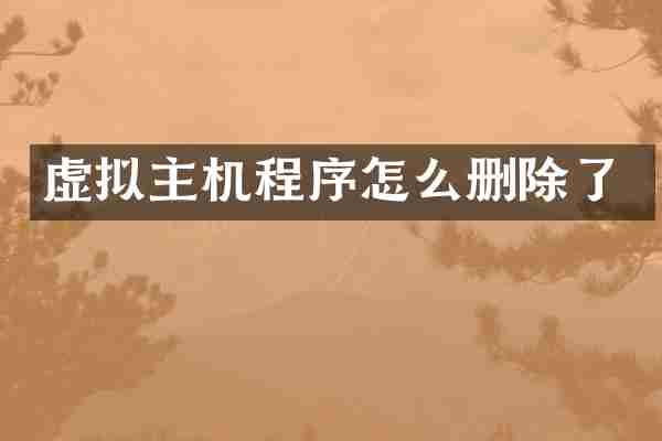 虚拟主机程序怎么删除了