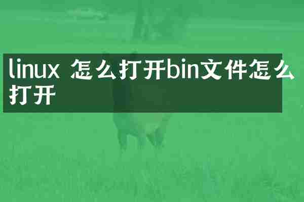 linux 怎么打开bin文件怎么打开