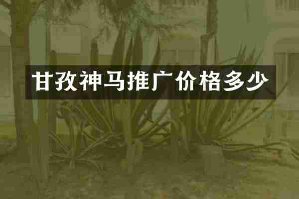 甘孜神马推广价格多少