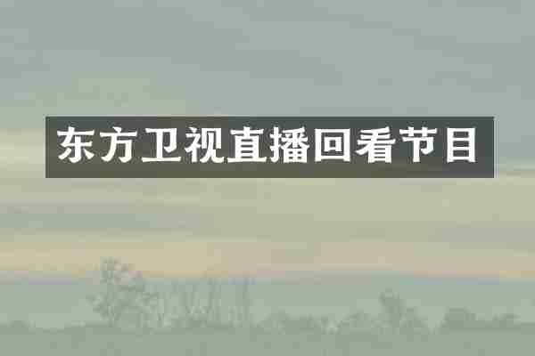 东方卫视直播回看节目