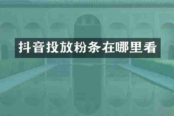 抖音投放粉条在哪里看