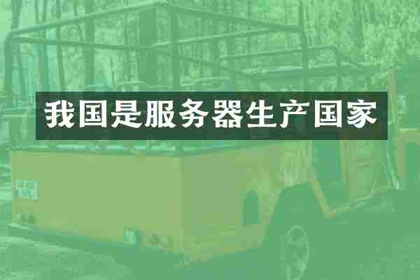 我国是服务器生产国家