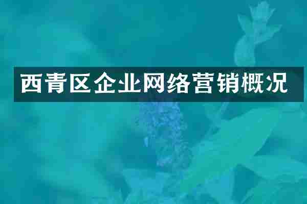 西青区企业网络营销概况