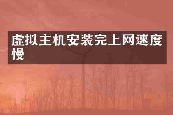 虚拟主机安装完上网速度慢