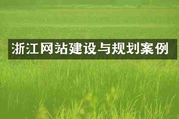 浙江网站建设与规划案例