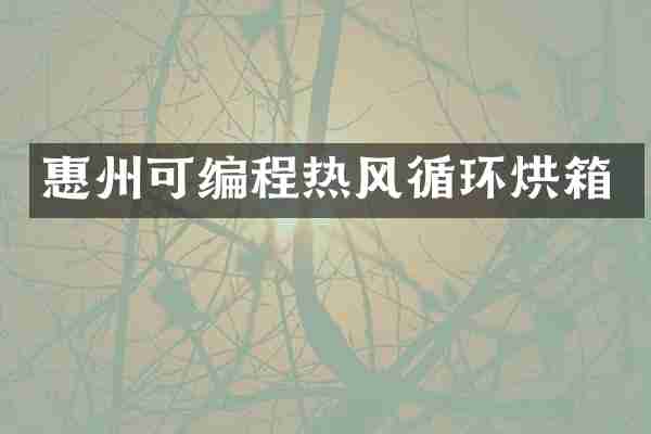 惠州可编程热风循环烘箱