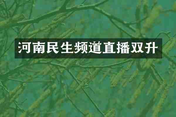 河南民生频道直播双升