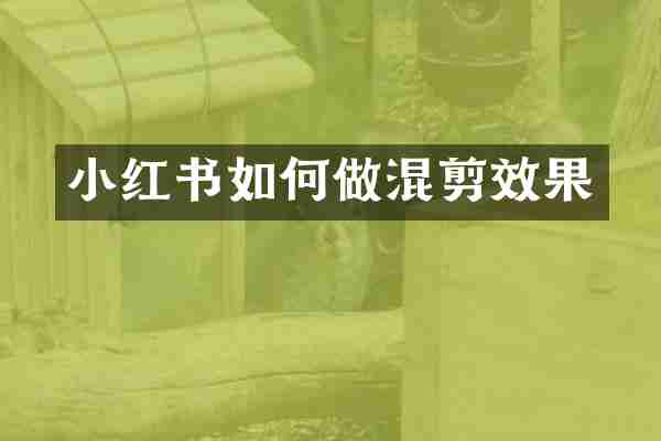 小红书如何做混剪效果