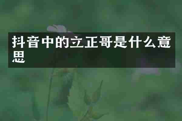 抖音中的立是什么意思