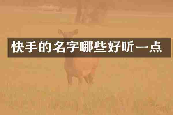 快手的名字哪些好听一点