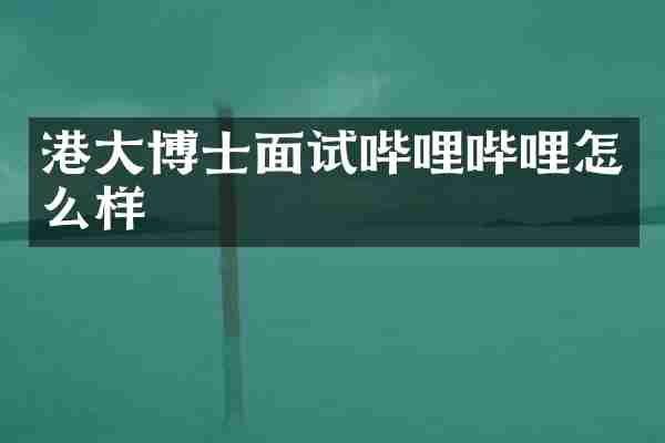 港大博士面试哔哩哔哩怎么样