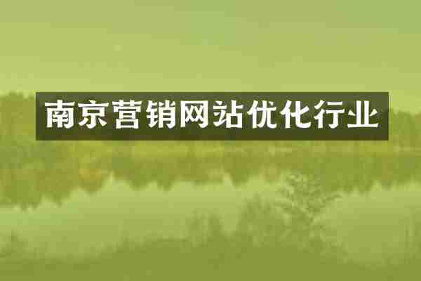 南京营销网站优化行业
