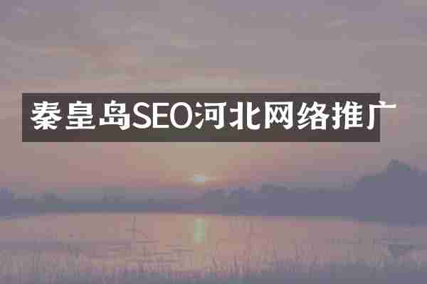 秦皇岛SEO河北网络推广