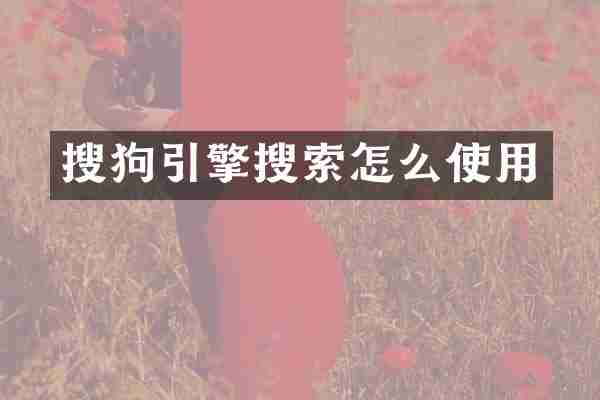 搜狗引擎搜索怎么使用